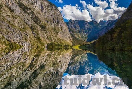 果冻 传媒-传媒新视角，果冻的奇妙旅程