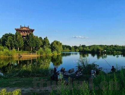 麻豆传媒啊啊啊-多元文化娱乐的正面影响，麻豆传媒的正面视角探讨
